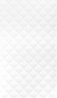 REVESTIMENTO VICTORIA 33X57 5903 - BRILHANTE
